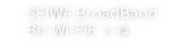SEIWA BroadBand Biz Wi-fi6とは